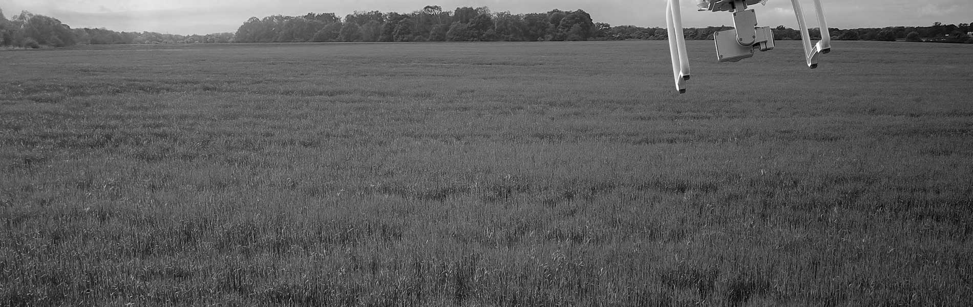 Photos aérienne drone