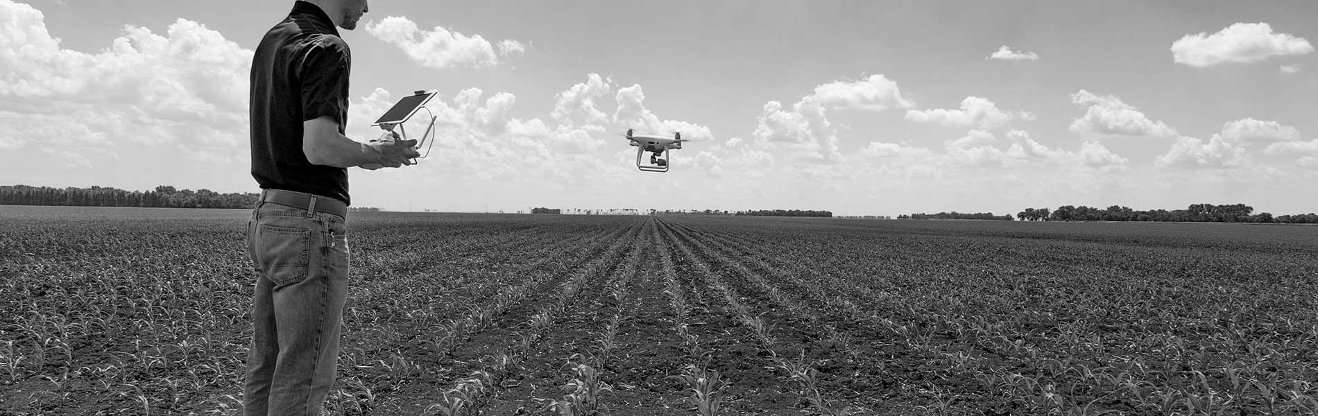 Photo aerienne drone