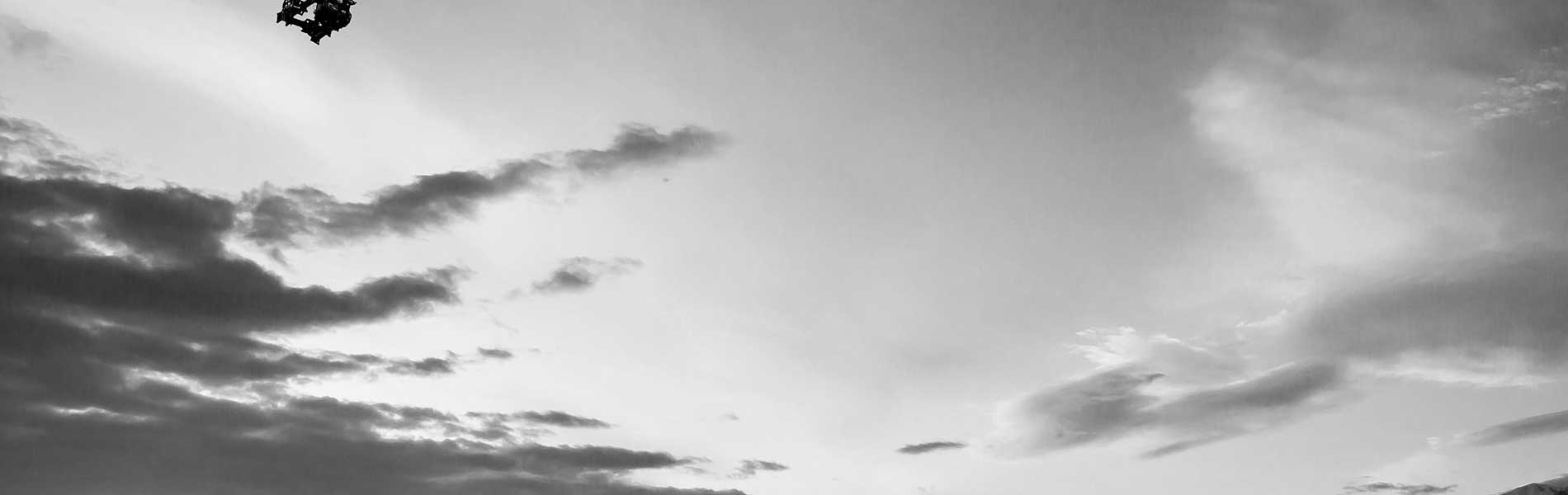 Photo aerienne drone