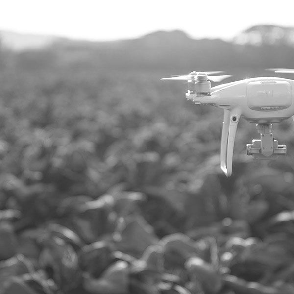 Prix suivi de chantier par drone