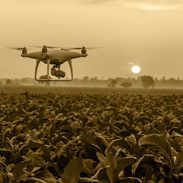 Prix film chantier drone
