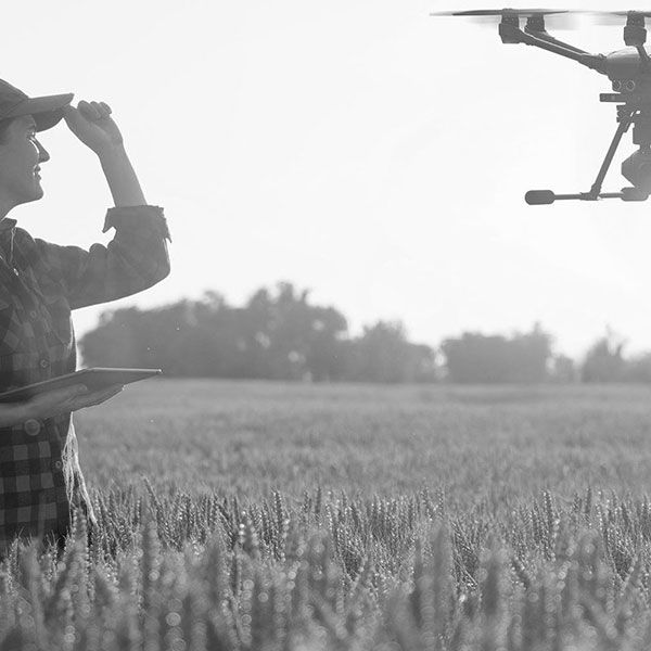Suivi chantier drone