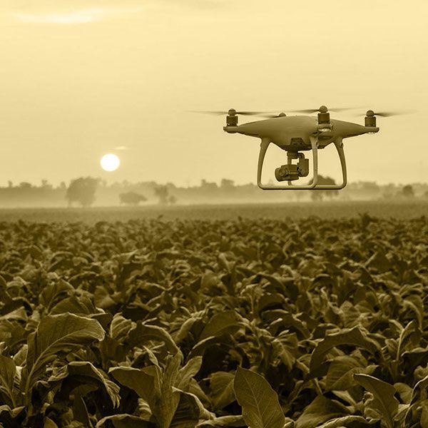 Relevé drone