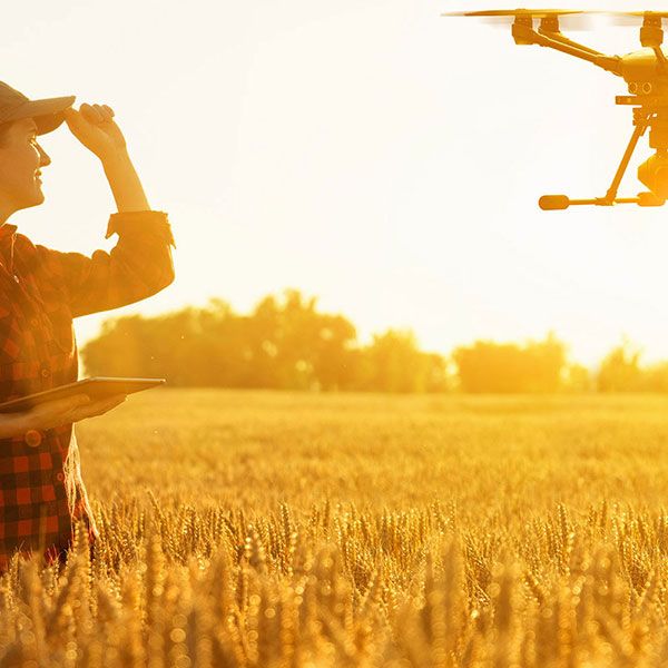 Relevé drone