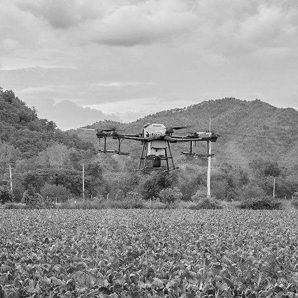 Tarif suivi de chantier par drone