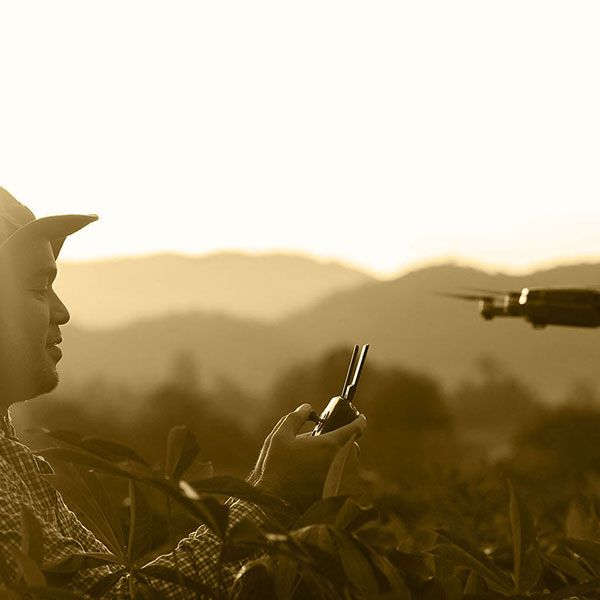 Relevé drone