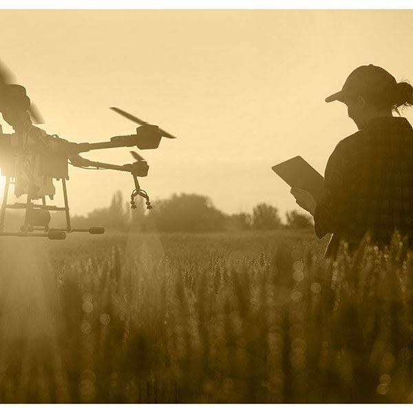 Photo chantier drone