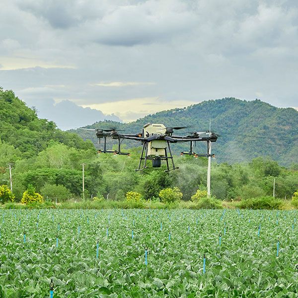 Tarif film chantier drone