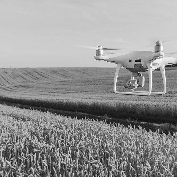 Tarif suivi de chantier par drone