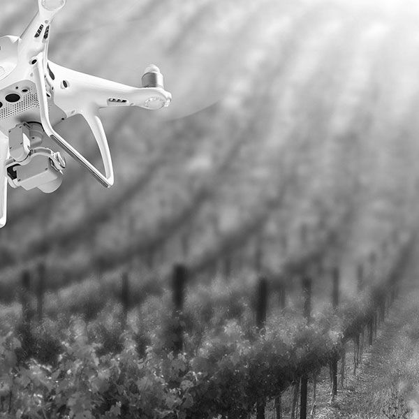 Tarif suivi de chantier par drone