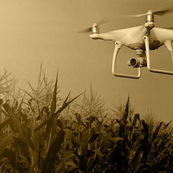 Drone professionnel surveillance
