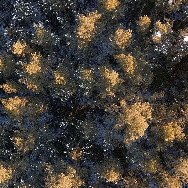 Drone pour topographie prix