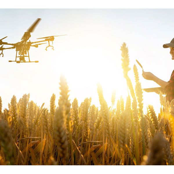 Drone professionnel surveillance