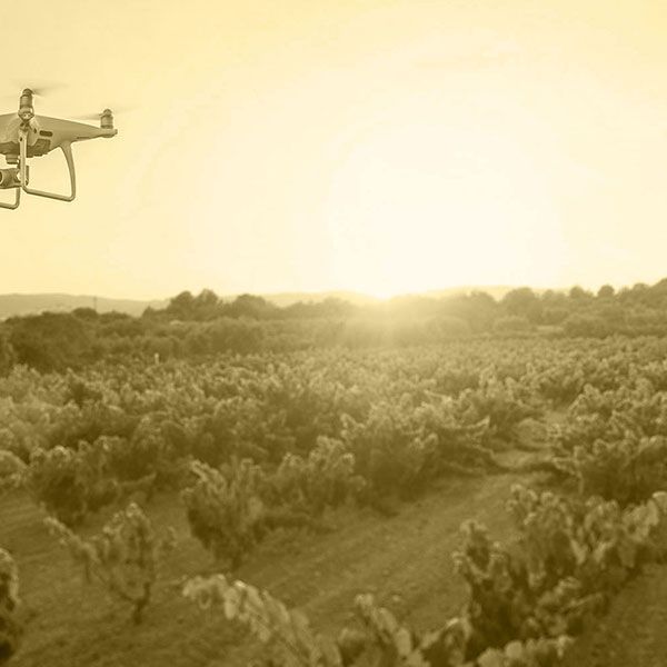 Prix suivi de chantier par drone