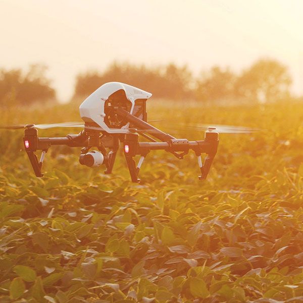 Drone immobilier tarif