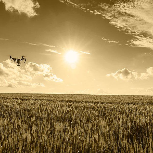 Photo drone immobilier