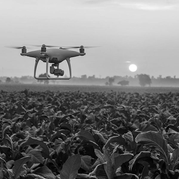 Prestation drone immobilier