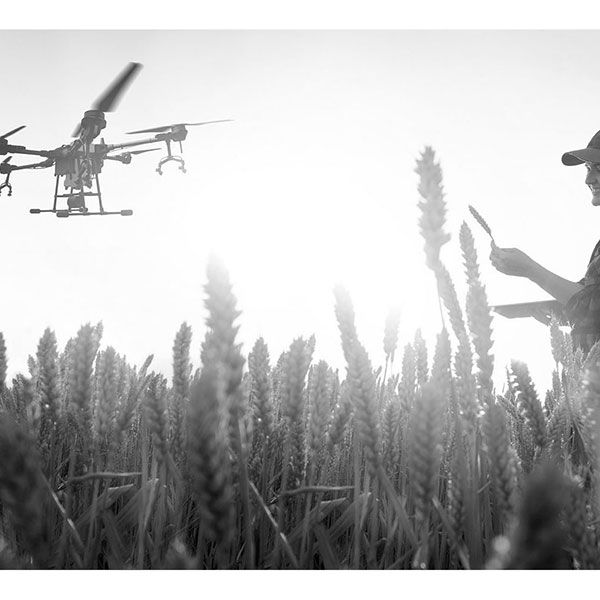 Drone professionnel immobilier