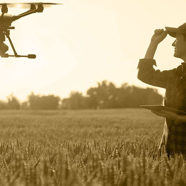 Drone photo immobilier