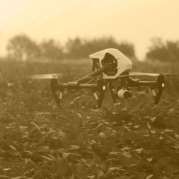 Visite par drone