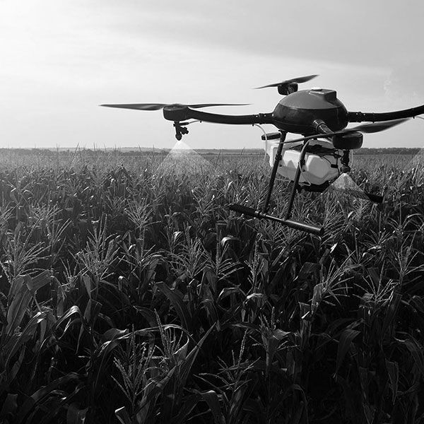 Drone immobilier tarif