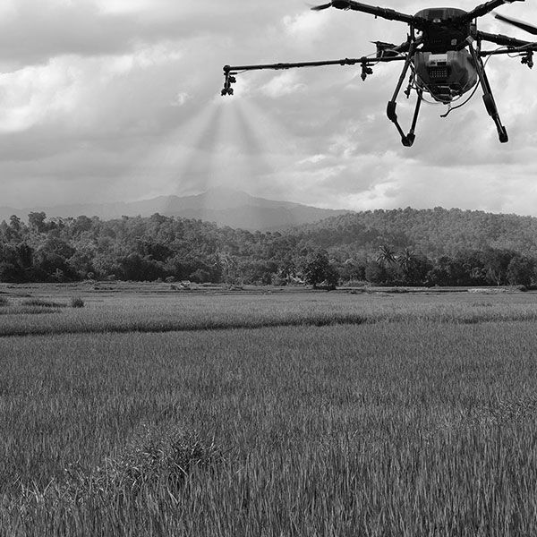 Photo drone immobilier