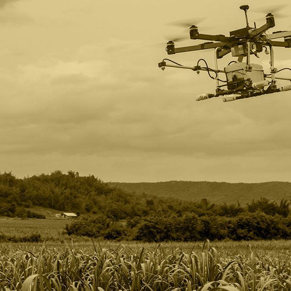 Photo immobilier drone