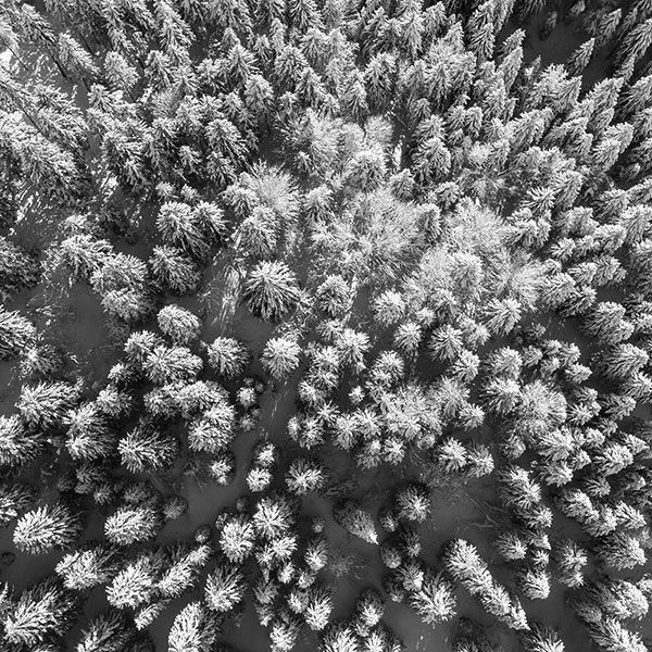 Visite par drone