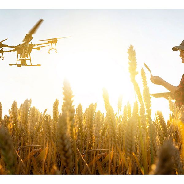 Photo immobilier drone