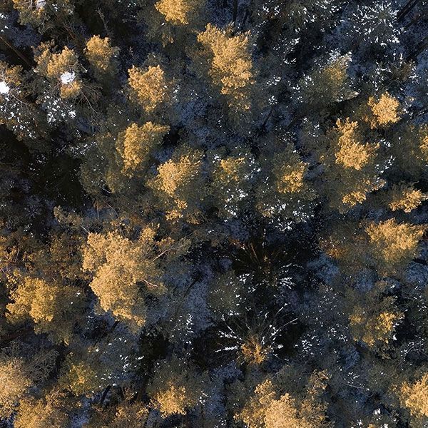 Drone photo immobilier