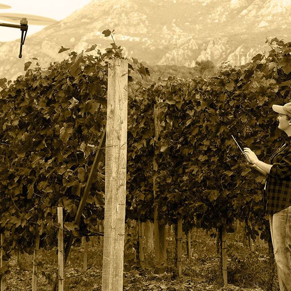 Photographe immobilier drone