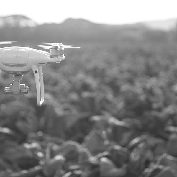 Prise de vue drone immobilier