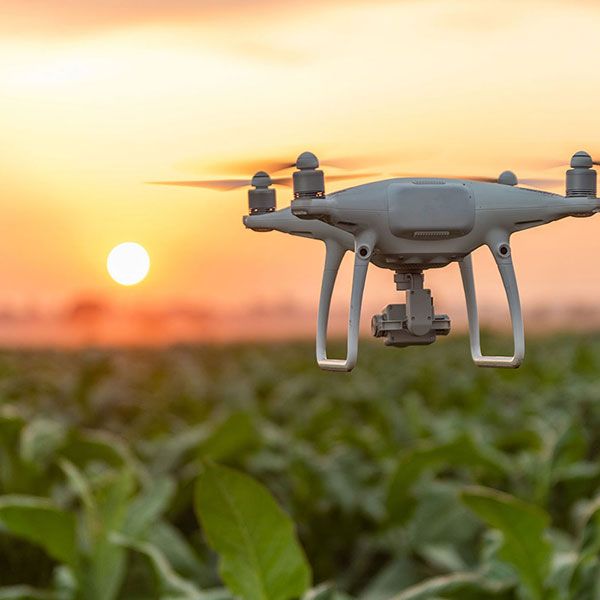 Video drone immobilier