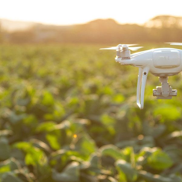 Drone professionnel immobilier