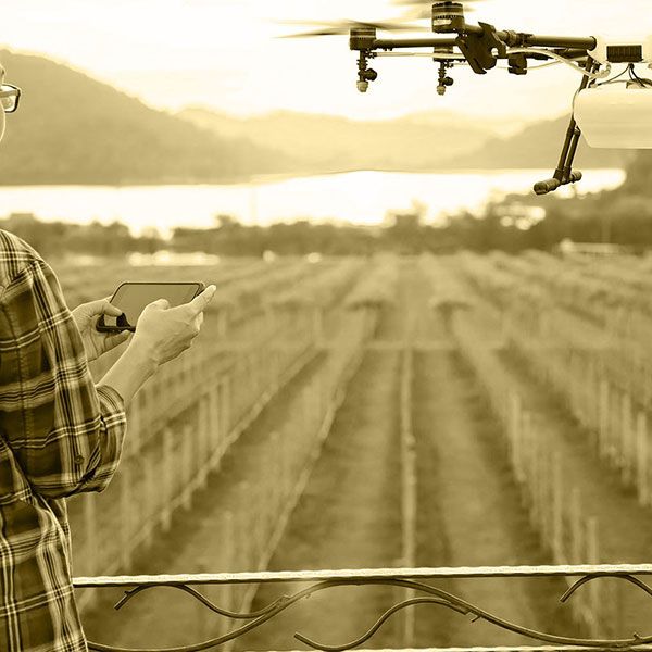 Visite par drone