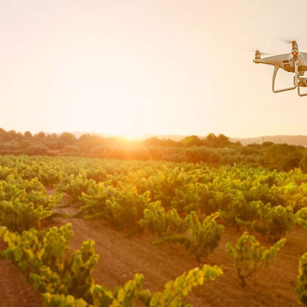 Photographe immobilier drone