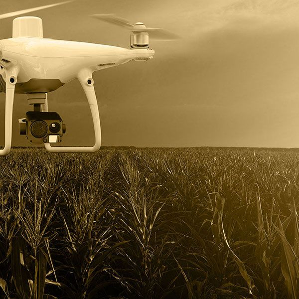 Video drone immobilier