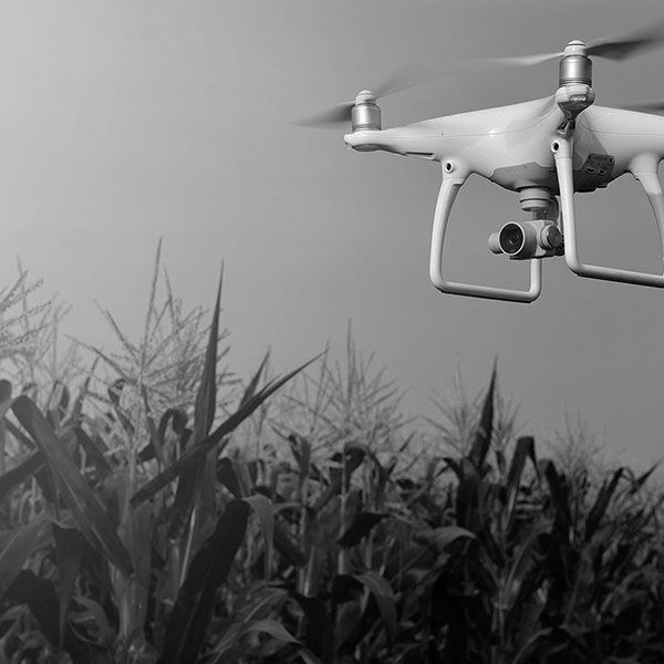 Drone photo immobilier