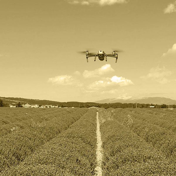 Visite par drone
