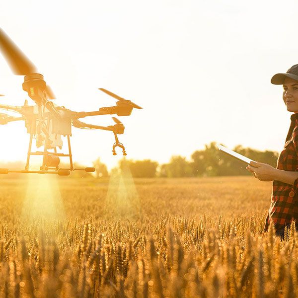 Video drone immobilier