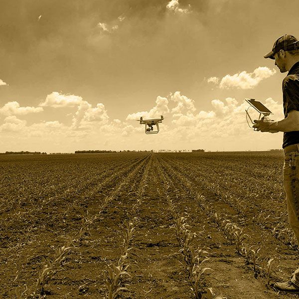 Photo drone immobilier