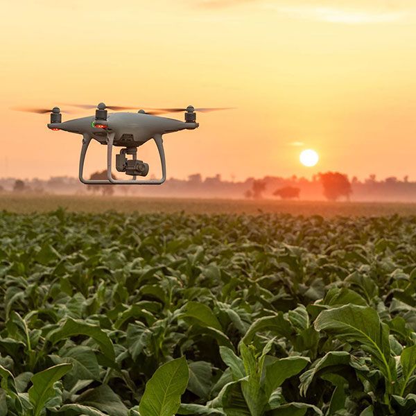 Prestation drone immobilier