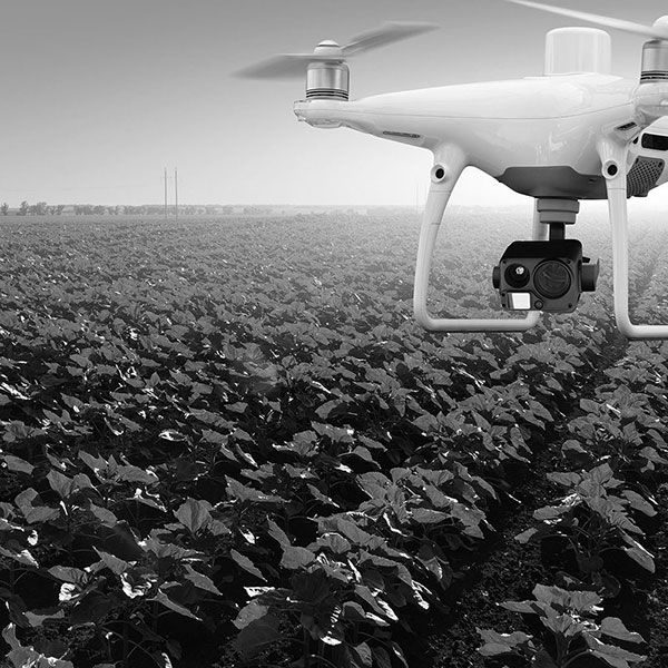 Prestation drone mariage