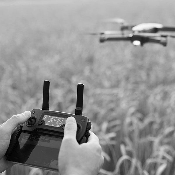 Drone mariage tarif