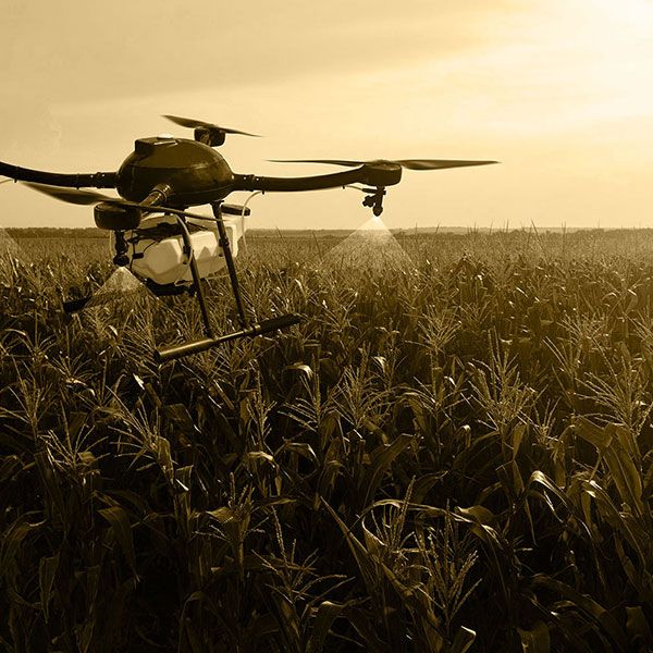 Film drone mariage
