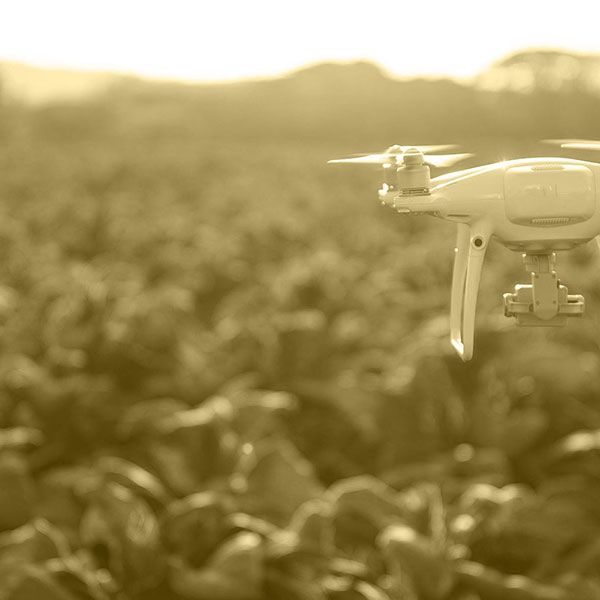 Prix photo mariage drone