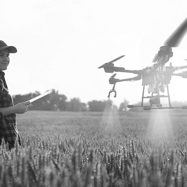 Location drone mariage