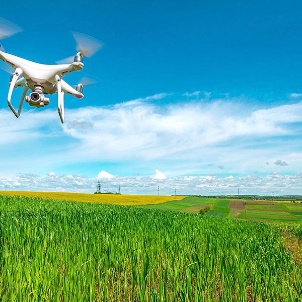 Location drone mariage