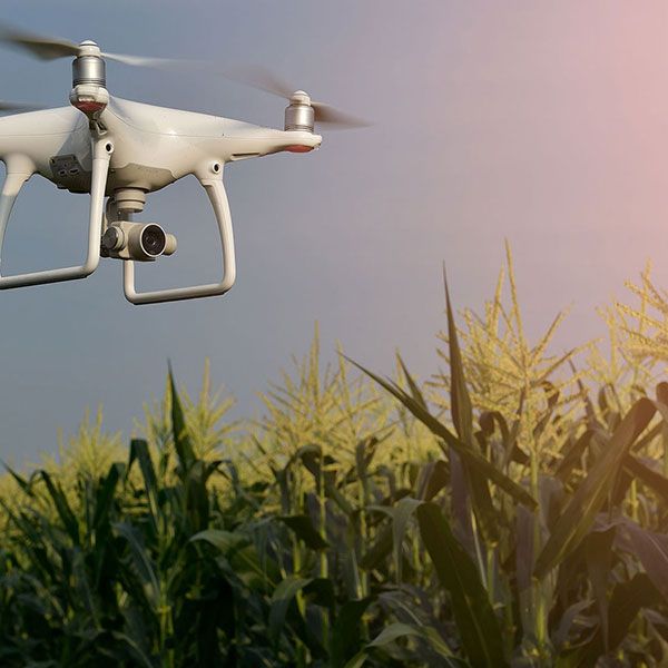 Film drone mariage