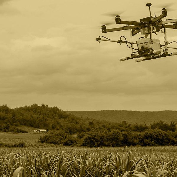 Prise de vue drone mariage